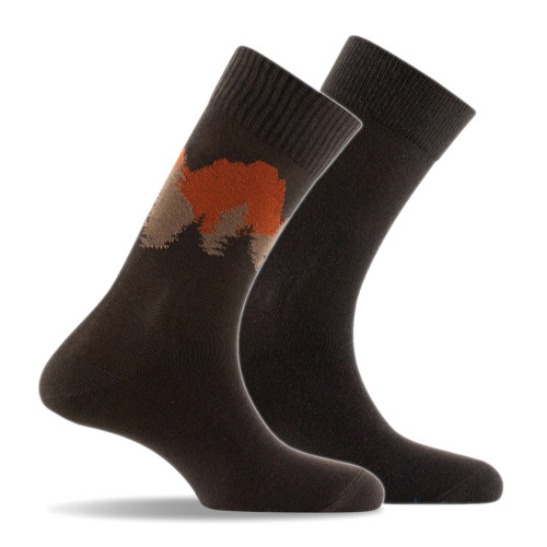 Lot de 2 mi chaussettes coton homme Landscape et unie marron